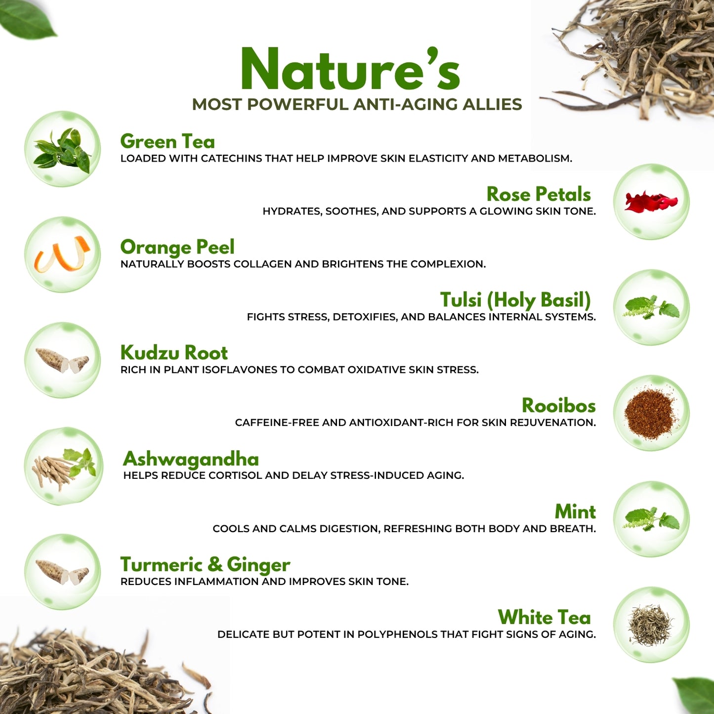 Anti-Aging Tea | Herbal tea for glowing skin | Light floral aroma | Blended with Green Tea, Rose & Ashwagandha and other wellness herbs | Reduces signs of aging & supports vitality