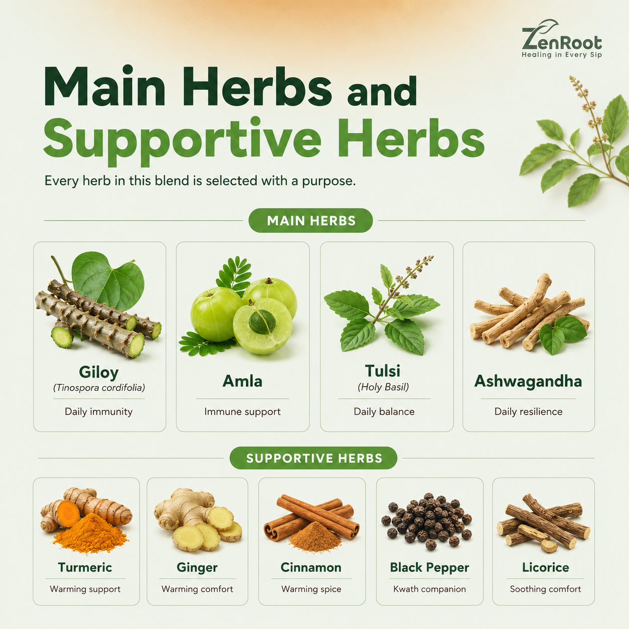 Kwath++ Tea — Daily Immunity Herbal Blend